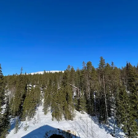 Aurinkorinne A19 Levi