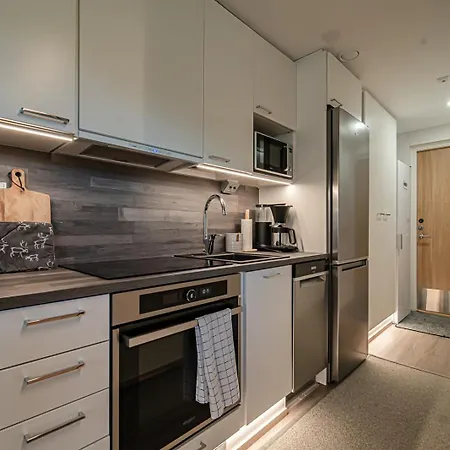 Aurinkorinne A19 Apartment Levi