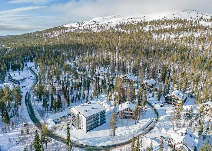 아파트 Aurinkorinne A19 레비