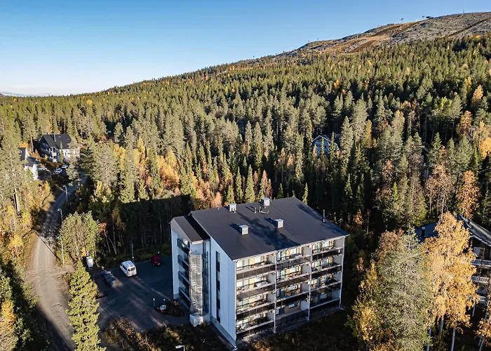 Aurinkorinne A19 아파트 레비