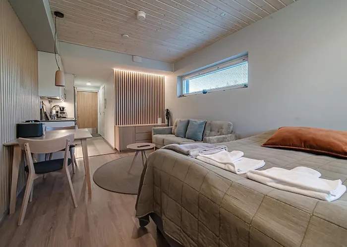 Aurinkorinne A19 레비